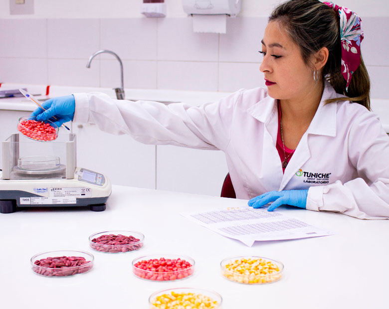 Laboratorio de Semillas Tuniche