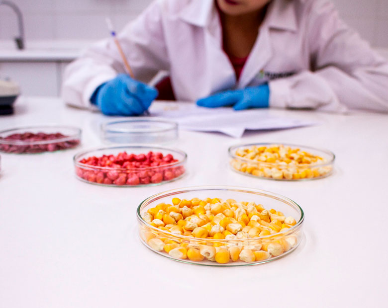 Laboratorio de Semillas Tuniche