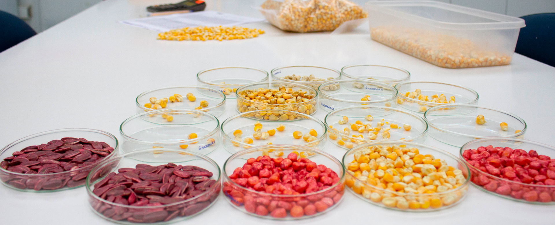 Laboratorio de Semillas Tuniche